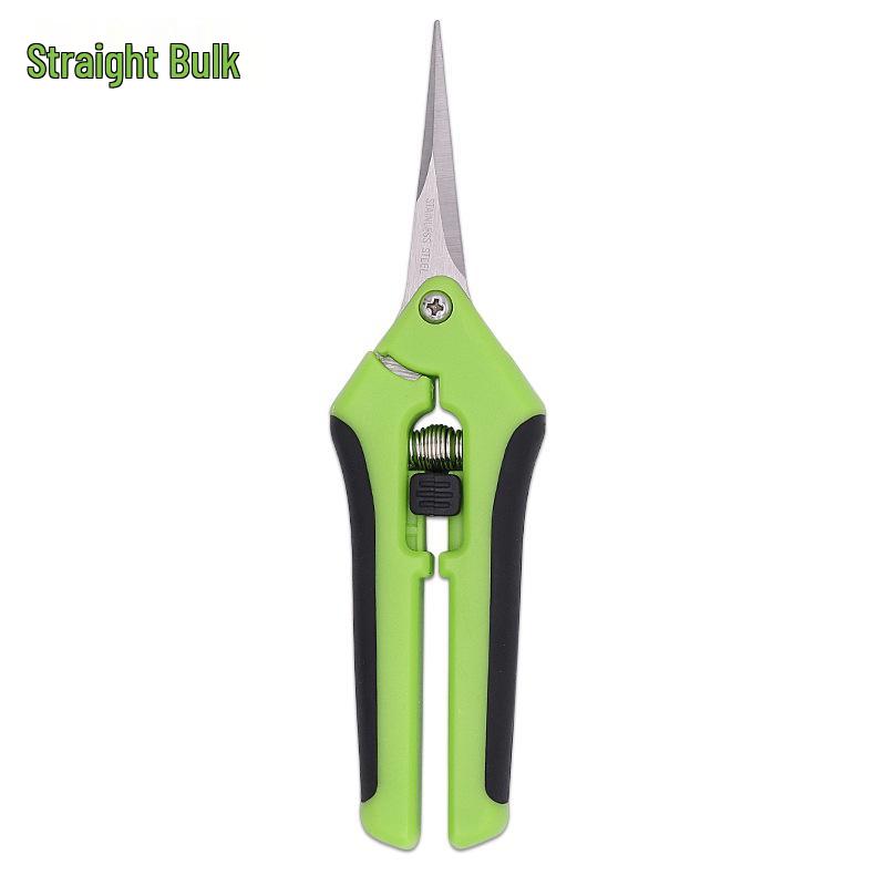 Stainless Steel Straight Head Pruning Shears for Flowers, Branches, and Fruit Trees.