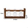 Glass Hydroponics Plant Propagating Station Desktop Vase Wooden Frame Diamond Shaped