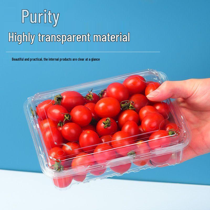 Clear Plastic Disposable Fruit Box with Lid for Strawberries