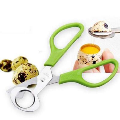Bird Egg Quail Egg Scissors Stainless Steel Egg Cutting Tool Egg Shell Breaker Cutter Egg Opener