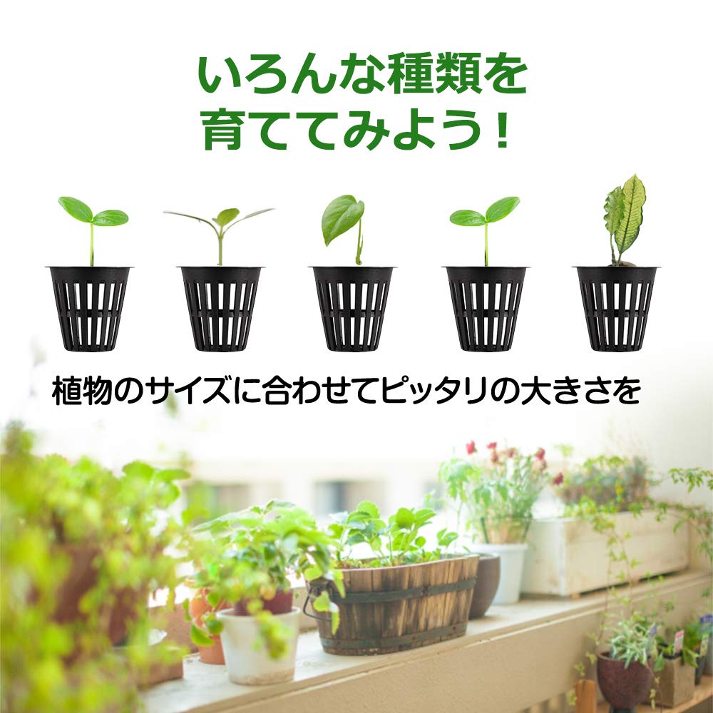 Happy Spring Hydroponic Cultivation Pot, Basket Pot, 6 Colors, 3 Sizes, Set of 10 (Large, Black)