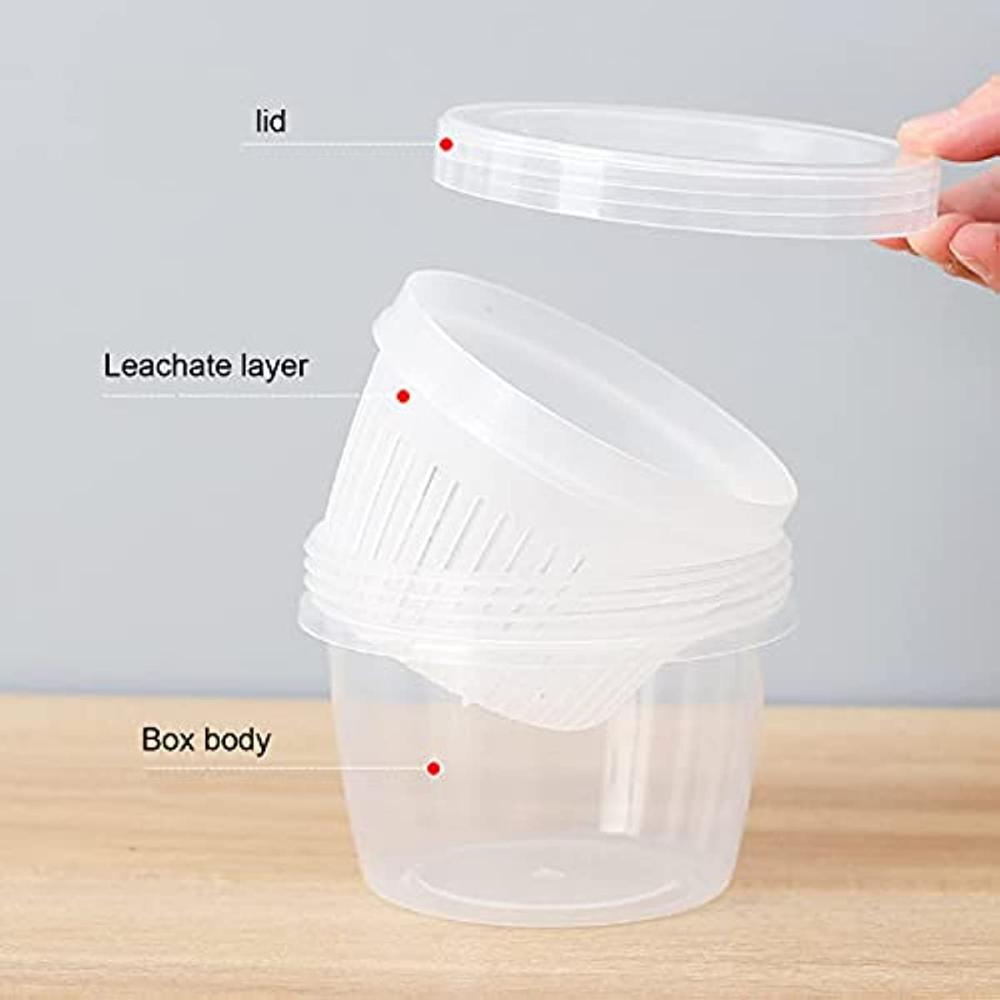 Home Lebensmittel Versiegelter Behälter für Kühlschrank Zwiebelform Ingwer Knoblauch Transparente Box