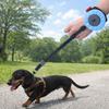 Cães – Colares e correias para cães