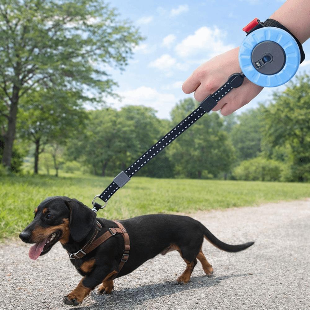 Manico Antiscivolo Guinzaglio Retrattile Automatico per Animali Domestici Mani Libere Blocco a Un Click Corda di Trazione per Cani Corda Regolabile per Passeggiate con Cani
