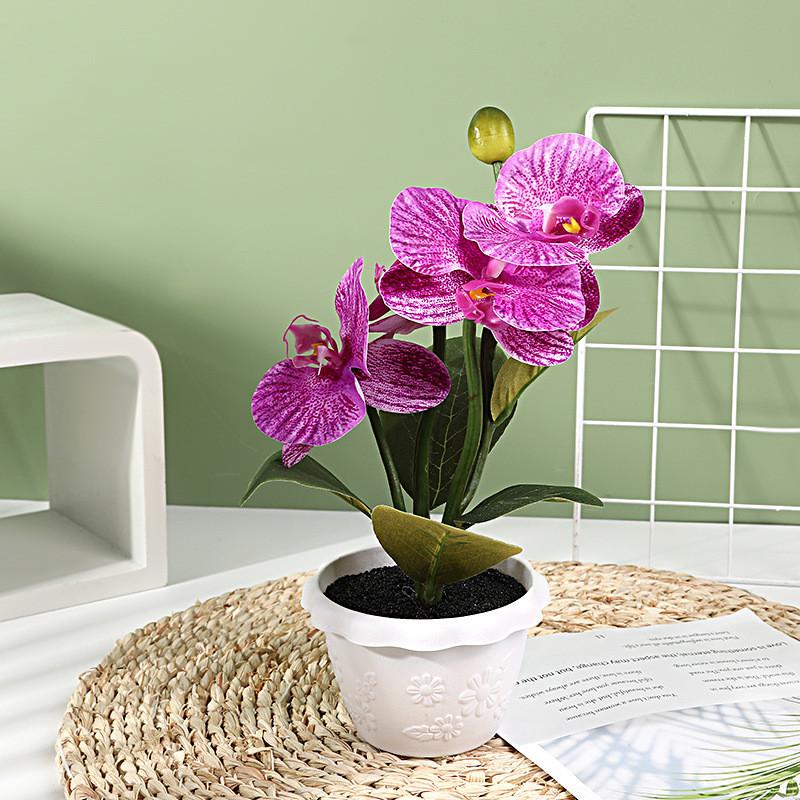 Artificial Phalaenopsis Flower Decor With Plastic And Silk Materials For Indoor Garden And Photography Props