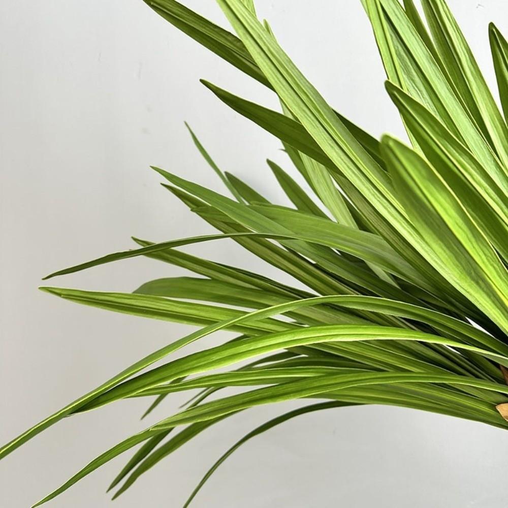 DIY Artificial Sword Orchid Leaves 61cm Fake Spider Plant Realistic Faux Plants  Wedding
