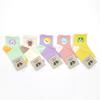 Children's Kids Socks Zoo 5 Pair Pack