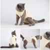 Universal Pet Recovery Suit for Cats and Small Dogs - Anti-Lick and Post-Surgery Clothing