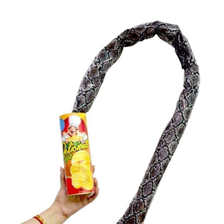 Funny Potato Chip Can Jump Spring Snake roach Toy Gift April Fool Day Halloween Party Decoration Prank Trick Fun Joke Toys