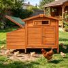 Coops with Stakes That Protect You from Predators and Are Therefore Easy to Clean