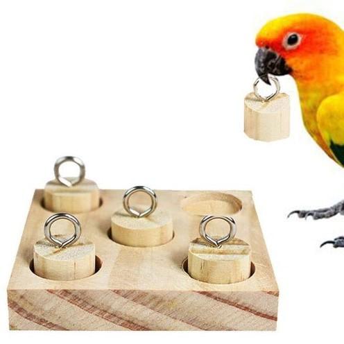 Wooden Peg Puzzle Toy for Foraging and Interactive Play