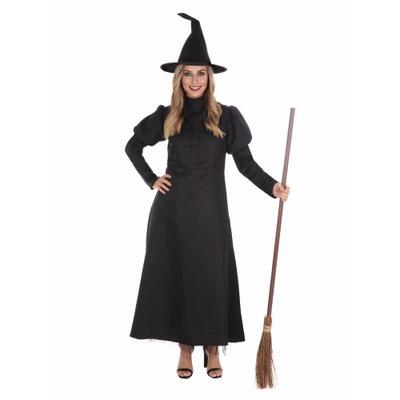 Bristol Novelty Womens/Ladies Wickedest Witch Costume