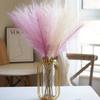 Simulated Reed Pampas Grass Artificial Plant Colorful Feather Decoration For Wedding Banquet Arrangement Shop Store Decor Props