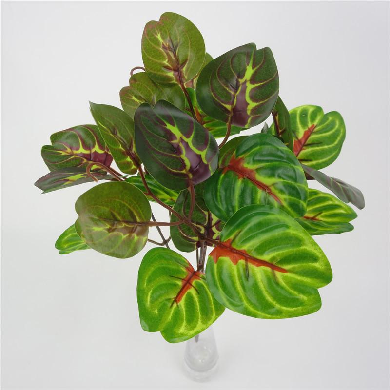 Ipomoea Plant Batatas With Leaf Bundles For Indoor Garden And Decor Office