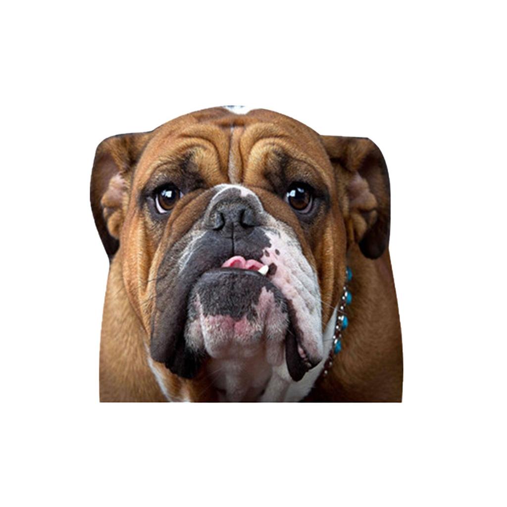 Car Window Glass Stickers Animal Series Vehicle Decal