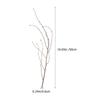 12 Pcs Birch Branch Decoration Decorative Dried Branches Natural for Vase Flower Vases Filler Stems and Small Leaf Indoor