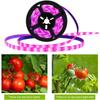 5V LED Plant Grow Light Full Spectrum Phyto Lamp 1m 2m 3m 4m 5m Strip For Seeds Flower Greenhouse Tent Hydroponic Plants Lighting