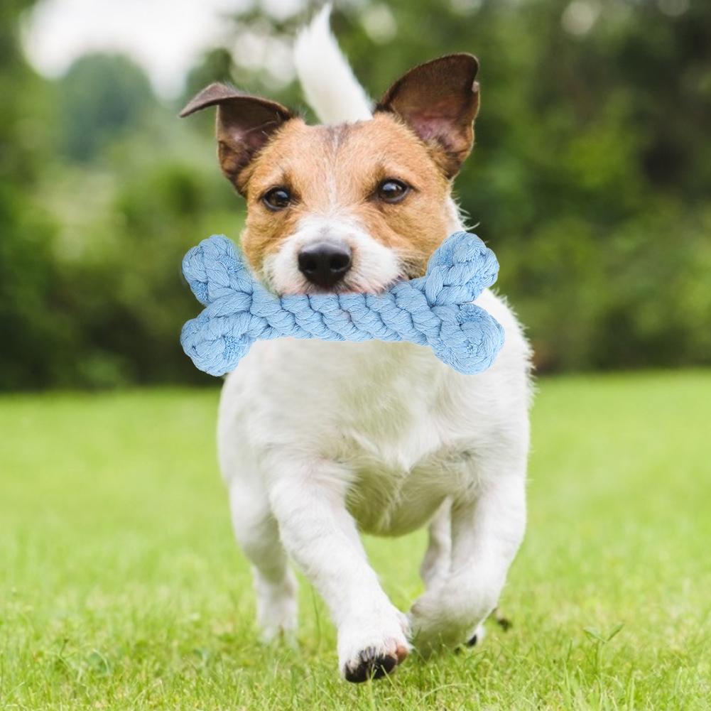 Cartoon Animal Shape Pure Manual Weaving Pet Cotton Rope Biting Chewing Molar Toy for Dogs