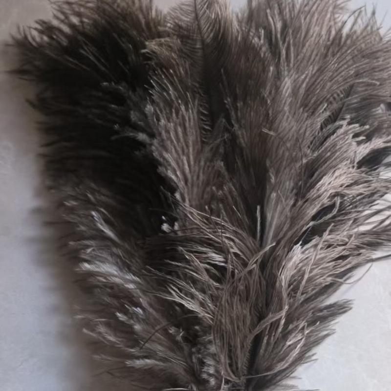 Feather Duster Wooden Handle Duster Anti-Static Dust Removal Dusters Ostrich Duster Feather Fur Brush For Home Cleaning Tools