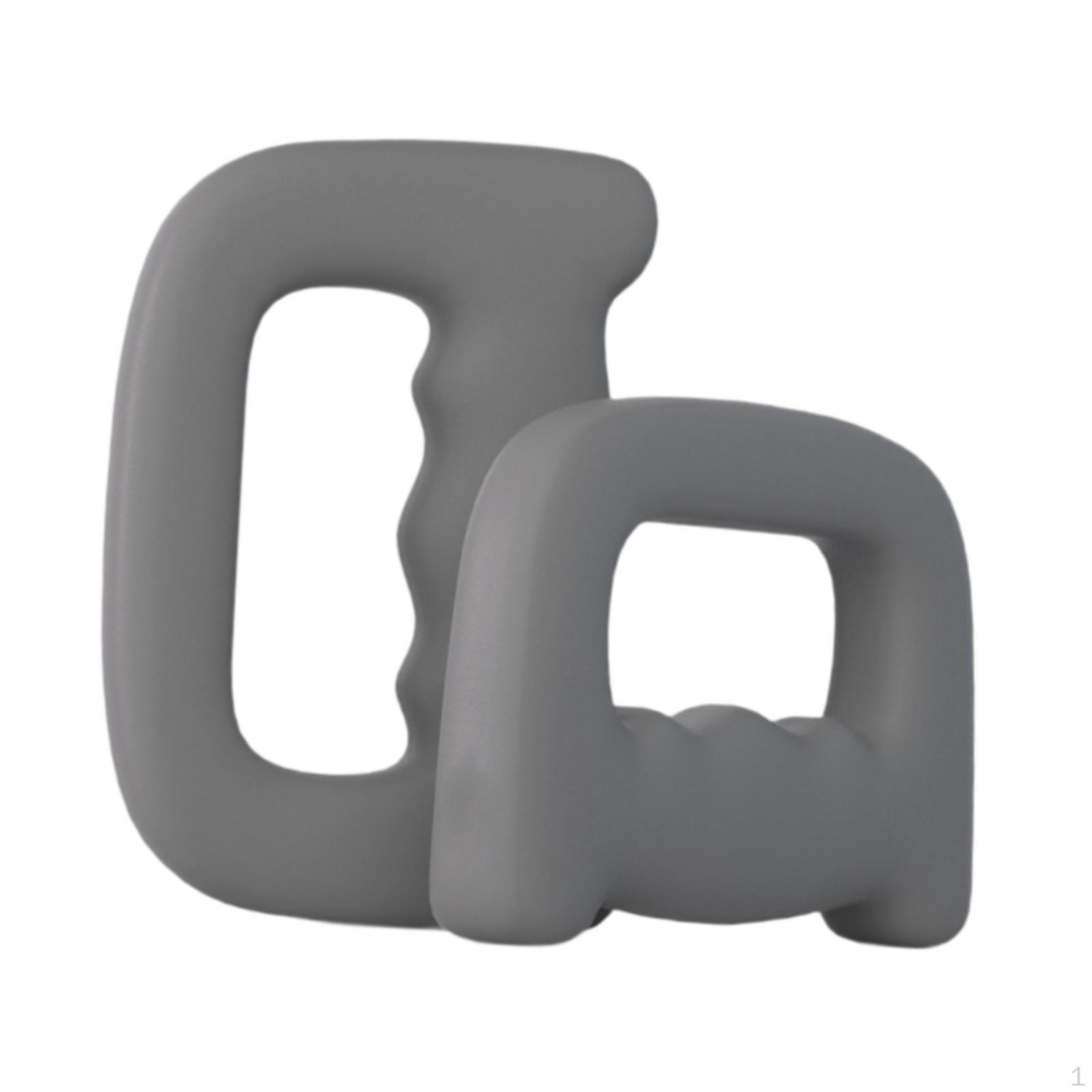 2Pcs Dumbbells Set Equipment Sports Hand Weights Ergonomic for Full Body Lady Girls Gray 1KG