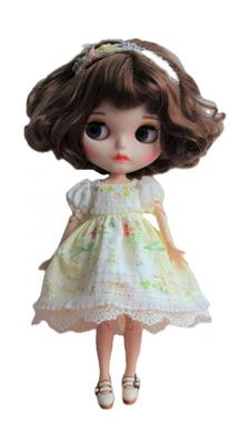 Blythe Obitsu 24 Jenny Printed Luxury Lace Floral Dress Costume, Costume, Costume,