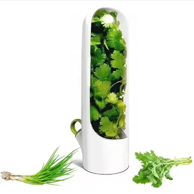 

Herb Saver Premium Herb Storage Container Keeps Greens Vegetables Fresh Premium Herb Keeper Clear Spice Fridge Preserver Storage