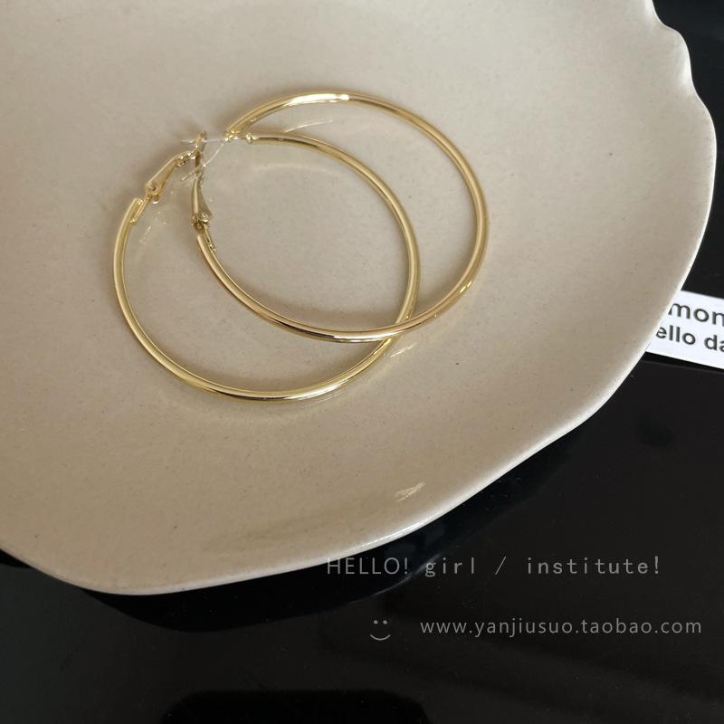 2025 Trendy 925 Silver Hoop Earrings: High-End European & American Style for Women