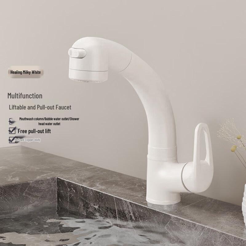 Tai Ju Fu Pull-Out Basin Mixer Faucet
