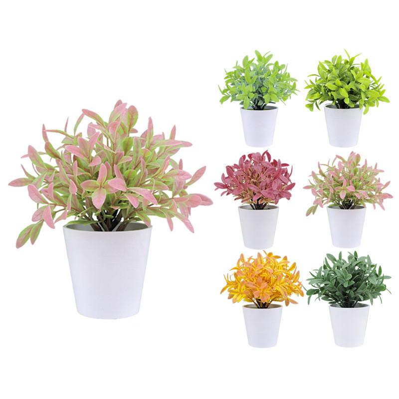 Buxus Sinica Rehd Eucalyptus Robusta Potted Plant Indoor Decor For Home