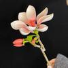 Moc Eternal Flowers Rose Bouquet Building Block Model Kit Ornament Assembly Creative Diy Educational Adults Toy Brick Home Decor
