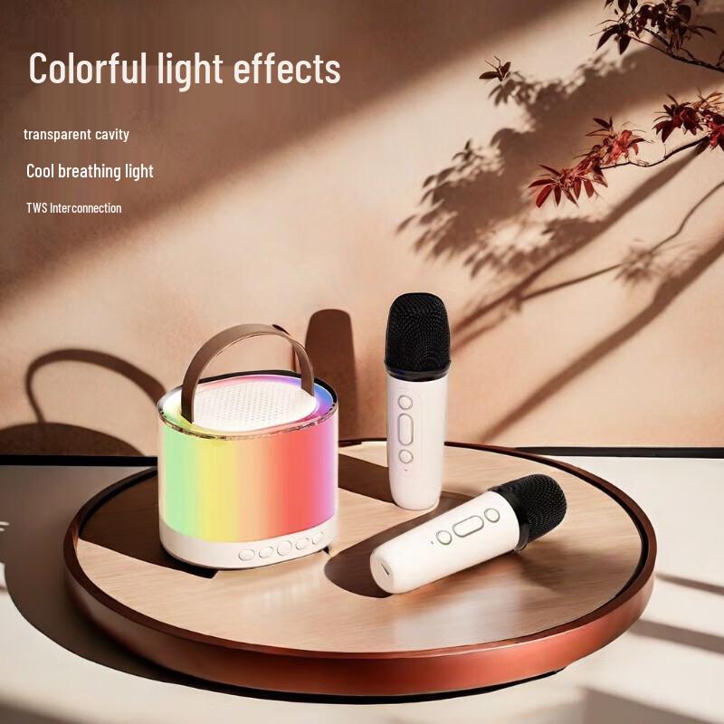 Portable Outdoor Karaoke Speaker System