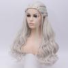 HAIRJOY Synthetic Hair Cosplay Wigs Silver Long Braided Costume Cosplay Queen Lolita Wig for Women
