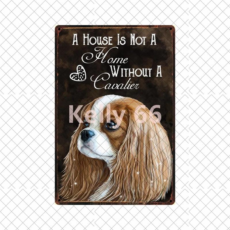 

[ Kelly66 ] Pet Cavalier King Charles Spaniel Bath Shap Dog Art Tin Metal Sign Home Pub Bar Decor Painting 20*30 CM Size Dy223 20x30cm（7.8x11.8inch）