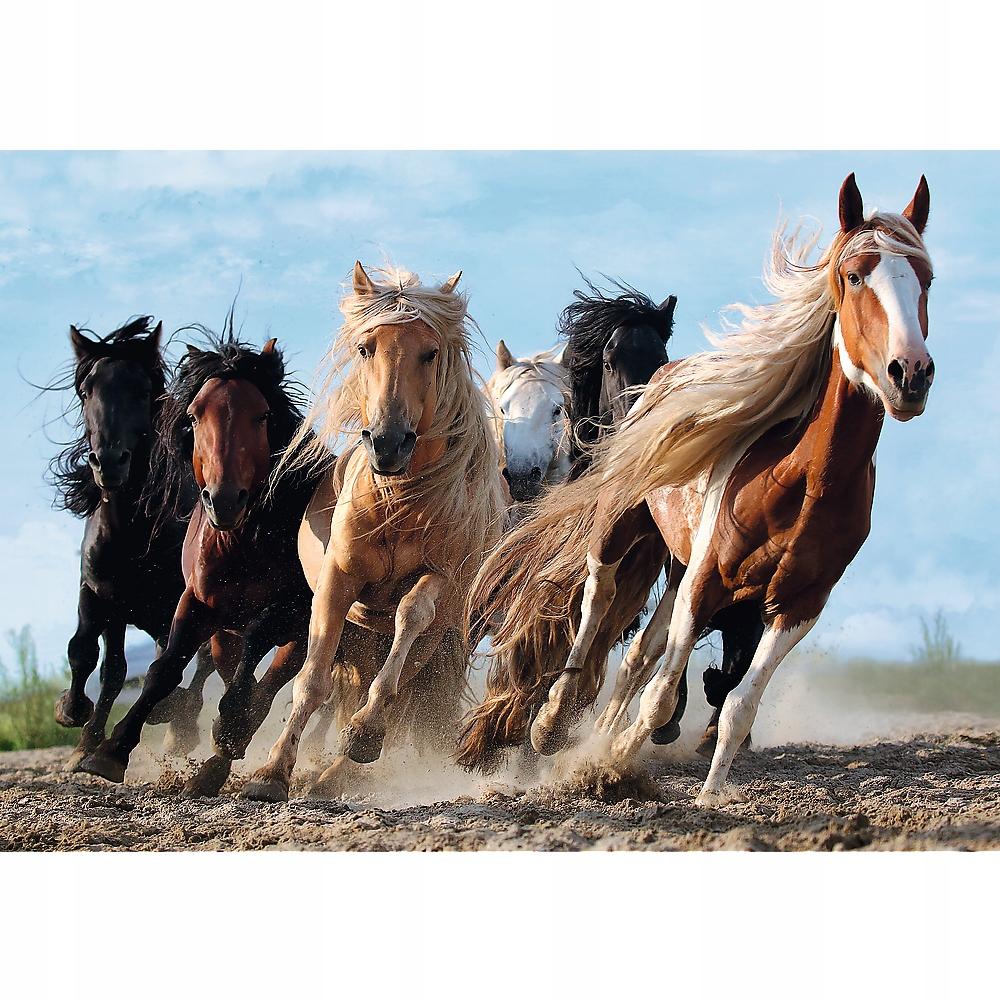 10446 "1000 - Galloping Horses" / 500px_L