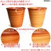 KANEYOSHI Ceramic Flower Koharu with Made In Japan with Reliable Domestic Quality Mikawa-yaki Pot, (Koharu), Orange, No. 8, Plate,