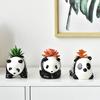 Cute Panda Flower Pot Succulent Pot Ceramic Planter Home Decor Desktop Ornaments Bonsai Plant Pot Garden Decoration