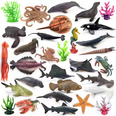 Vissen en zeedieren – Aquarium decoratie