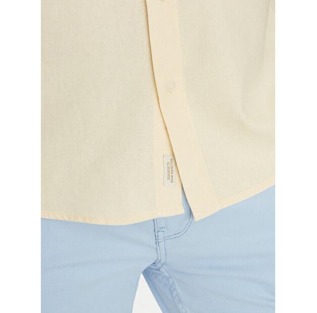Shirt Blend 20717866