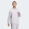 Adidas Essentials Hoodie Long Sleeve Sport Sweatshirt Unisex Tops Silver IA4991