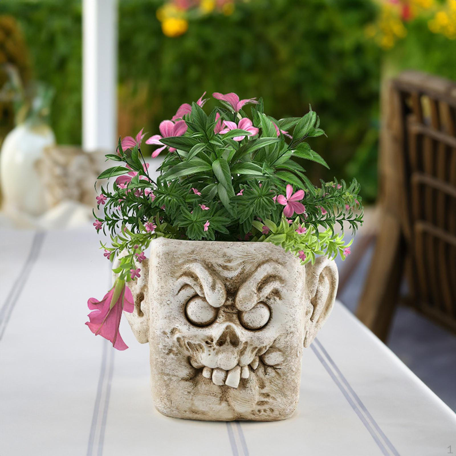 Charming Face Sculpture Planter for Home and Office Beautification Clown