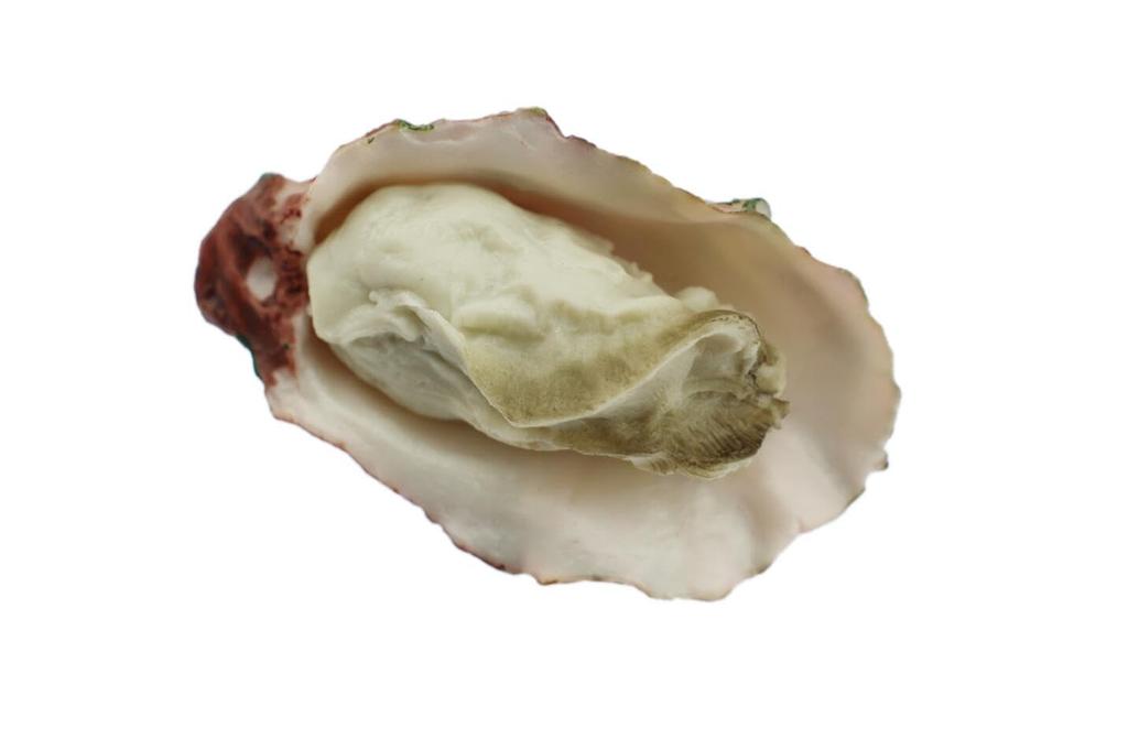 Speed Mao Realistic and Oyster Food Samples Set of 5 Delicious-Looking Models/Food -