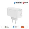 Интеллектуальный шлюз Tuya ZigBee Оборудование для домашней связи Интеллектуальная система связи Домашняя автоматизация