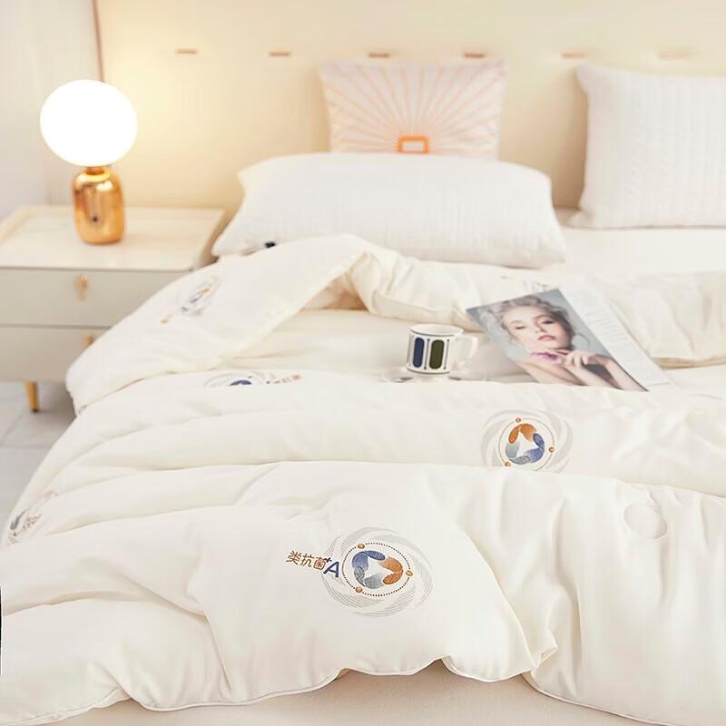 Tangna 3A Antibacterial Warm Fiber Quilt