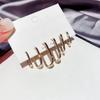 S925 Silver Exquisite European & American Style Diamond Earrings for Women - Luxurious & Fashionable, Versatile Ear Buckles