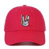 Vintage Adjustable Unisex Vintage Cap for Outdoor Hiking and Mountaineering