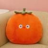 Pillow Toy Gift for Kids Girls and Boys, Stuffed Decor