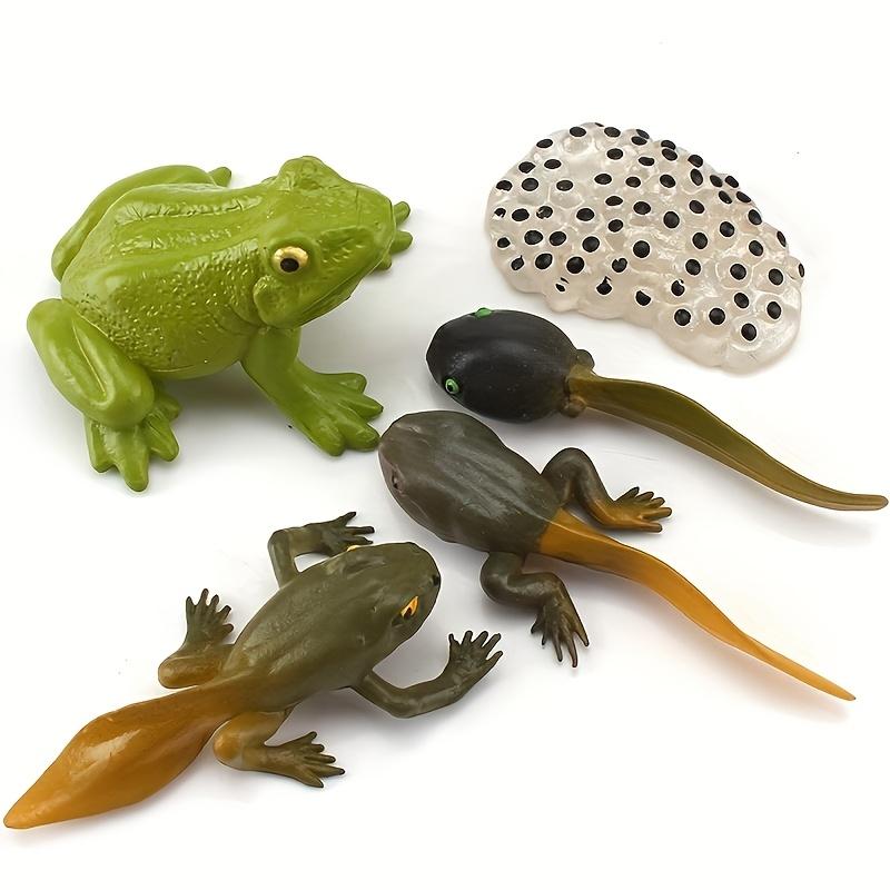 Simulation Animal Model Insect Growth Cycle Model Set, Suitable For Home Decoration, Desktop Ornaments, Children'S Cognition