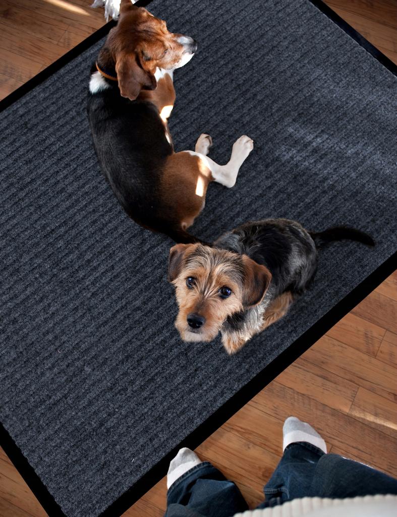 Ready-Made Pvc Doormat, Textile For Interior Use 80 X 120 1 Pc