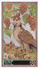 Kancharo 78-Card Tarot Card Set [Erenberg Tarot] Includes Japanese Tarot Card Instructions & Pouch (Authentic)