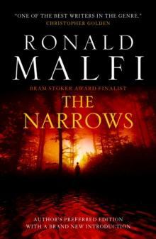 The Narrows by Ronald Malfi Paperback Book 9781835410530